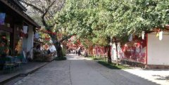 泰安中小品牌互联网口碑推广分享
